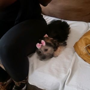 Meet your Posher, Crystal